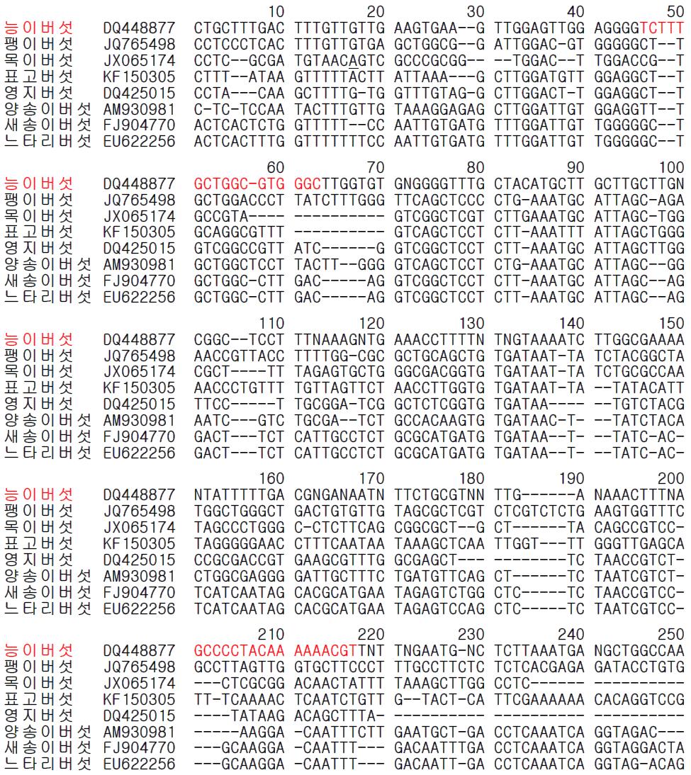 능이버섯 종 특이 프라이머 설계를 위한 유전자(ITS2) 염기서열 비교 및 분석.