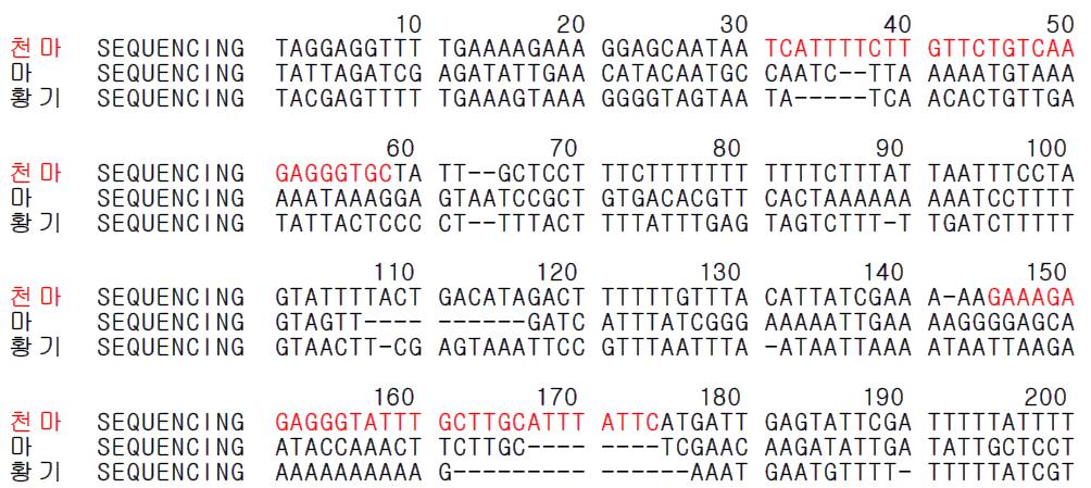 천마 종 특이 프라이머 설계를 위한 유전자(psbA-trnH) 염기서열 비교 및 분석