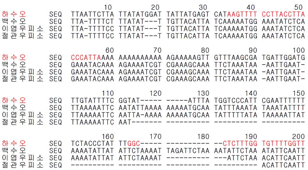 하수오 종 특이 프라이머 설계를 위한 유전자(psbA-trnH) 염기서열 비교 및 분석