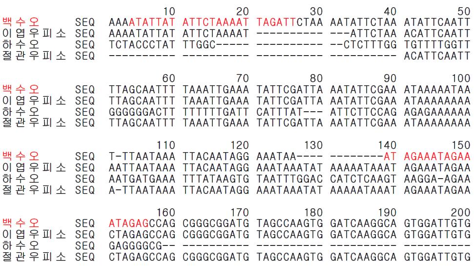 백수오 종 특이 프라이머 설계를 위한 유전자(psbA-trnH) 염기서열 비교 및 분석
