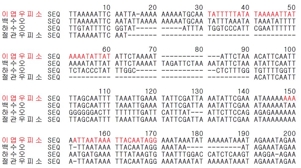 이엽우피소 종 특이 프라이머 설계를 위한 유전자(psbA-trnH) 염기서열 비교 및 분석.