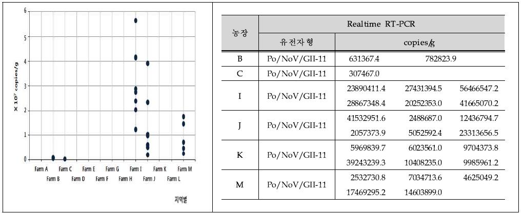 농장 축산농가 Porcine 노로바이러스 분리주 유전자형 및 정량분석