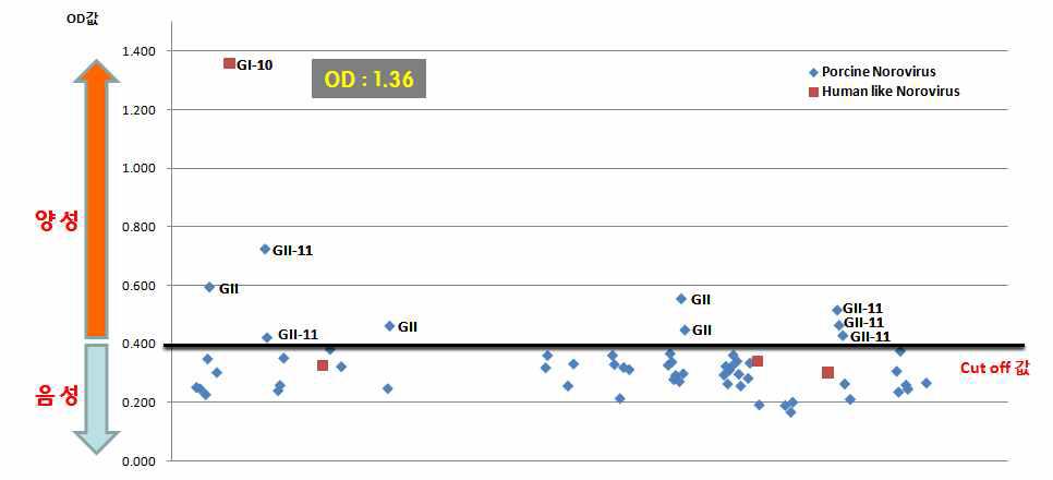 노로바이러스로 검출된 샘플의 ELISA 분석 결과 값(OD)