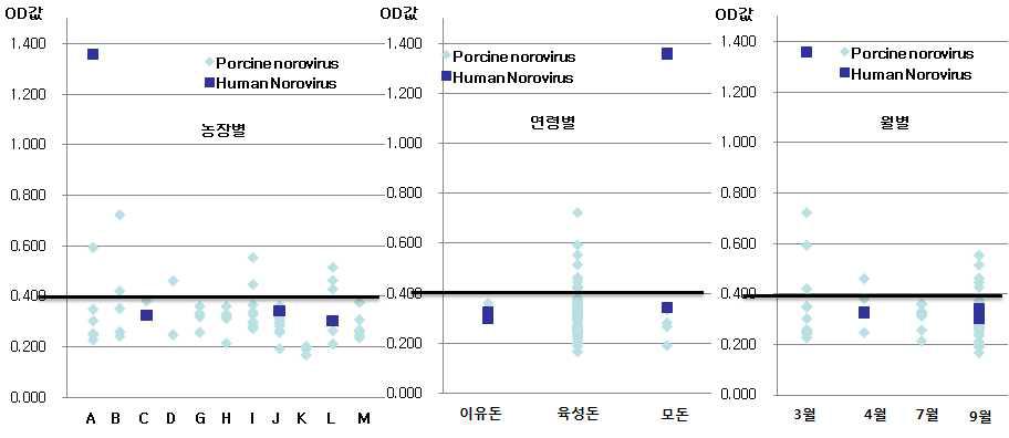 노로바이러스로 양성 검출된 샘플의 농장별, 연령별, 월별 ELISA 분석 결과 값