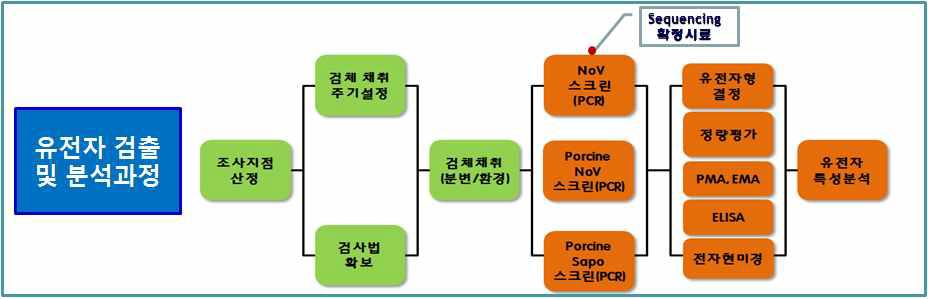 돼지분변 검체 채취 모식도 및 연구흐름도