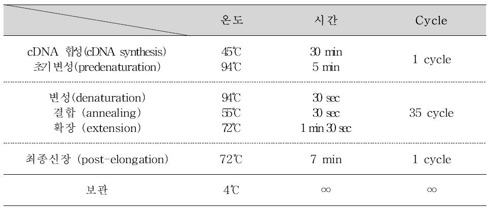 노로바이러스 One-step RT-PCR 반응조건 및 온도