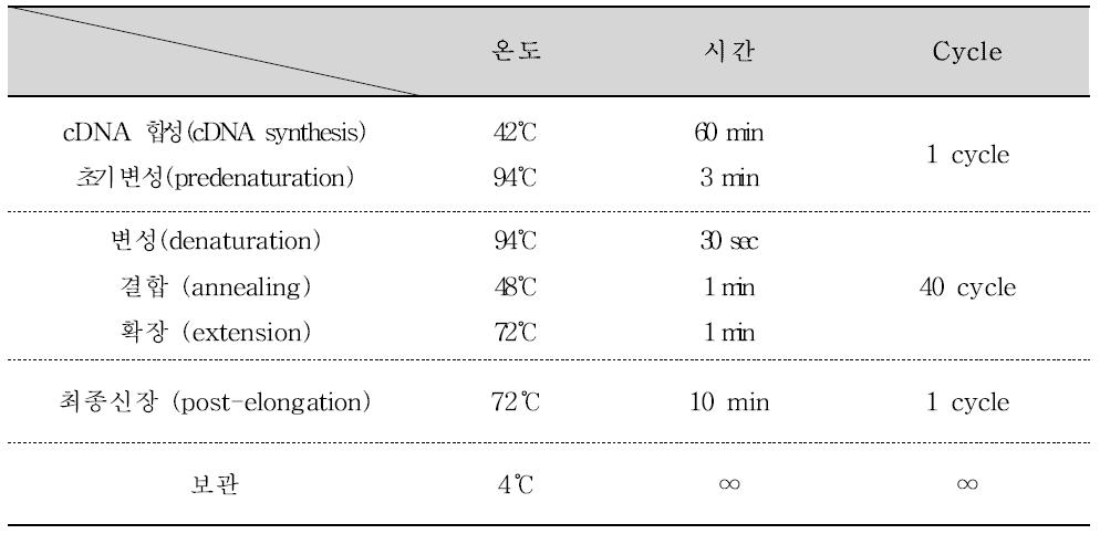 Porcine 노로바이러스 One-step RT-PCR 반응조건 및 온도