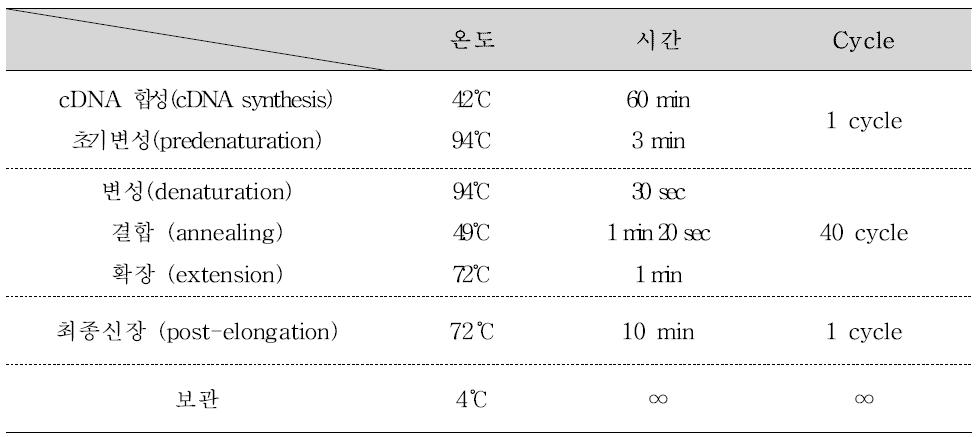 Porcine 노로바이러스 One-step RT-PCR 반응조건 및 온도