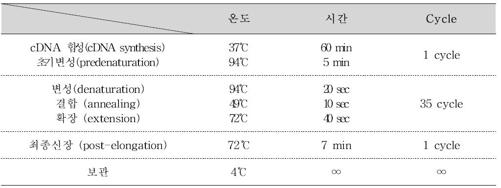 Porcine 사포바이러스 One-step RT-PCR 반응조건 및 온도