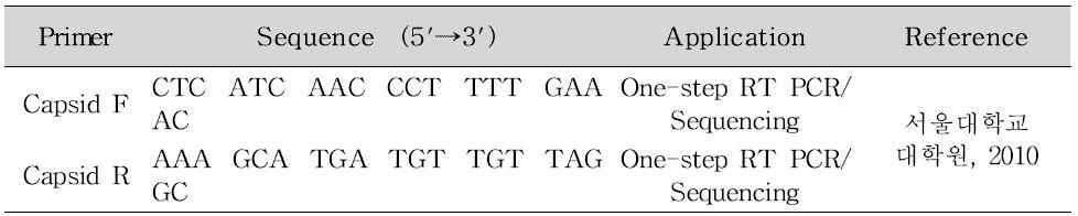 Porcine 사포바이러스 PCR 프라이머 염기서열