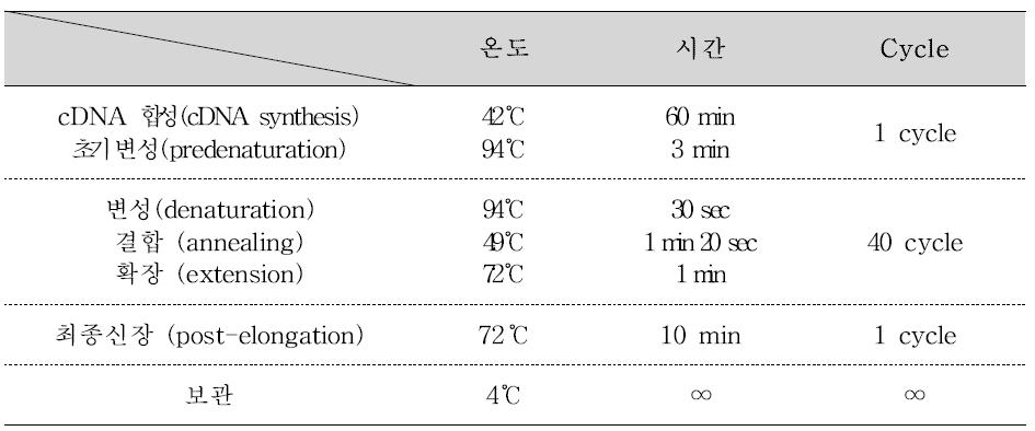 Porcine 사포바이러스 One-step RT-PCR 반응조건 및 온도