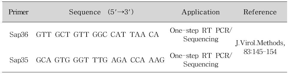 Porcine 사포바이러스 PCR 프라이머 염기서열