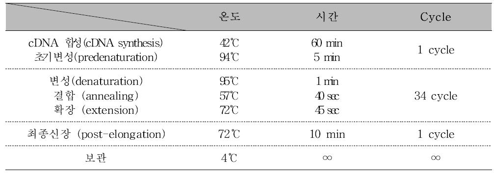 Porcine 노로바이러스/사포바이러스 One-step RT-PCR 반응조건 및 온도