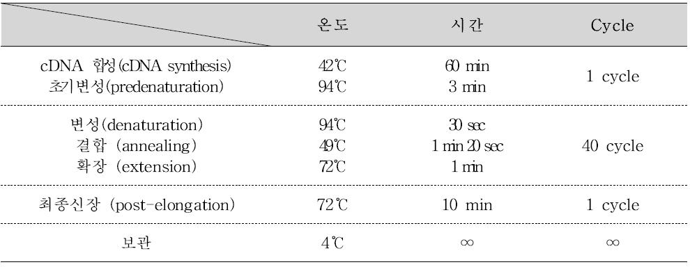 Porcine 노로바이러스/사포바이러스 One-step RT-PCR 반응조건 및 온도