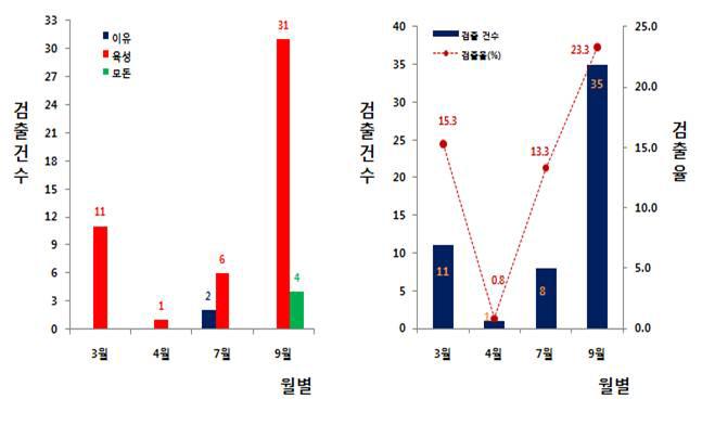 월별 Porcine 노로바이러스 검출건수 및 검출율 분석