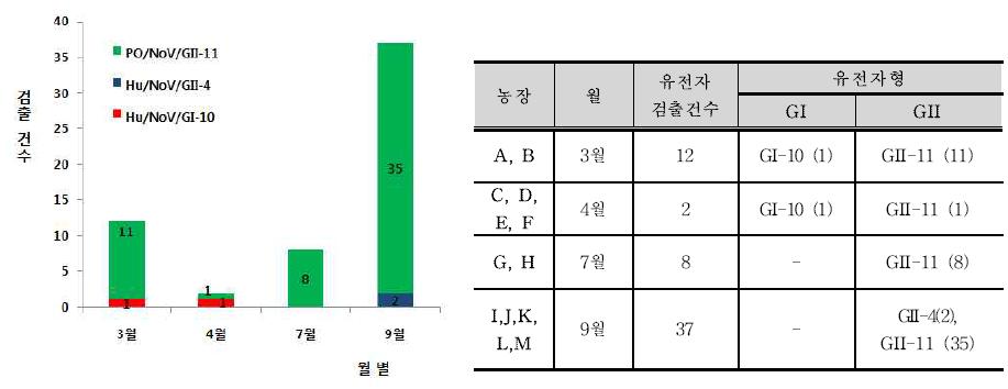 월별 유전자형 분포 결과