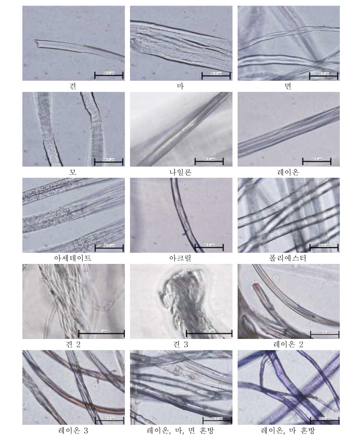 광학현미경을 이용한 섬유의 투과상 관찰 결과