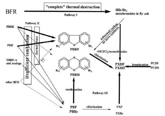 Formation pathways of PBDDs/PBDFs in thermal processes