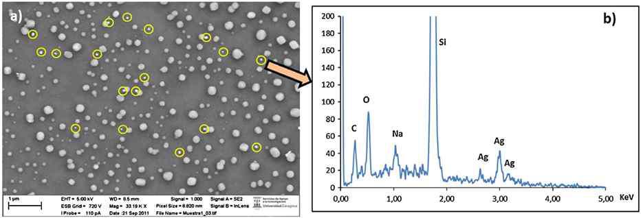 (a) SEM image of Kinetic Go Green sample at 33,000x (assay conditions: HAc 3%, 40°C, 10 days), (b) EDX analysis of the selected silver nanoparticle