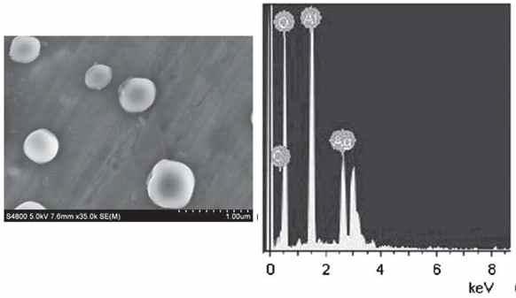 (a) SEM image of migration substance from simulating solution of water under 50°C and 15 days (b) EDX result of the particles confirms a majority of nanosilver.