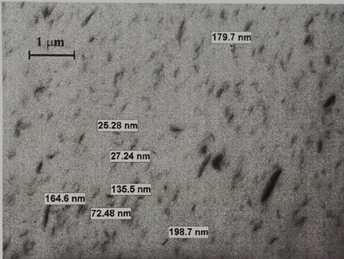 TEM image of PET/clay nanocomposites containing 3% wt nanoclays.