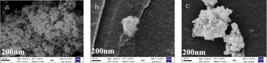 SEM images of nano-TiO2 particles (a), a nano-TiO2-PE composite particle (b) and nano-TiO2-PE composite film (c).