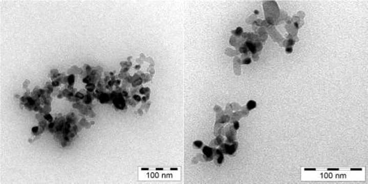 TEM images of TiN nanoparticlesmigrated from LPE/TiN nanocomposite films.