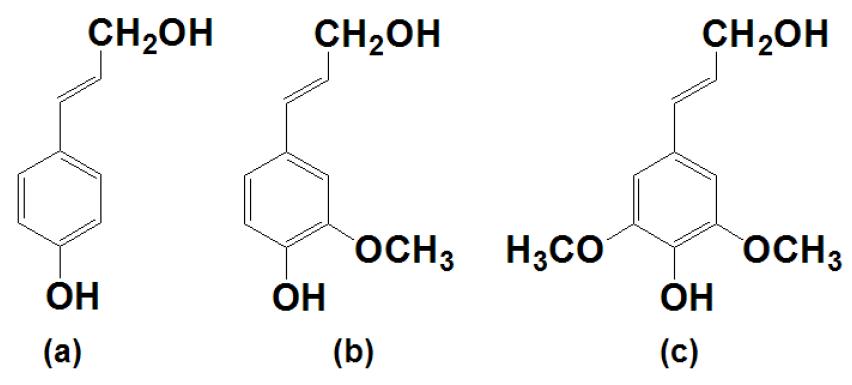 Building blocks for lignin : (a) p-coumaryl alcohol, (b) coniferyl alcohol, (c) sinapyl alcohol
