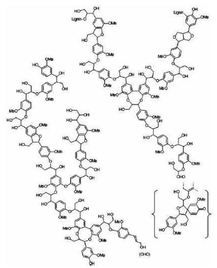 Schematic of softwood lignin macromolecule showing various types of cross-linking between alcohol units
