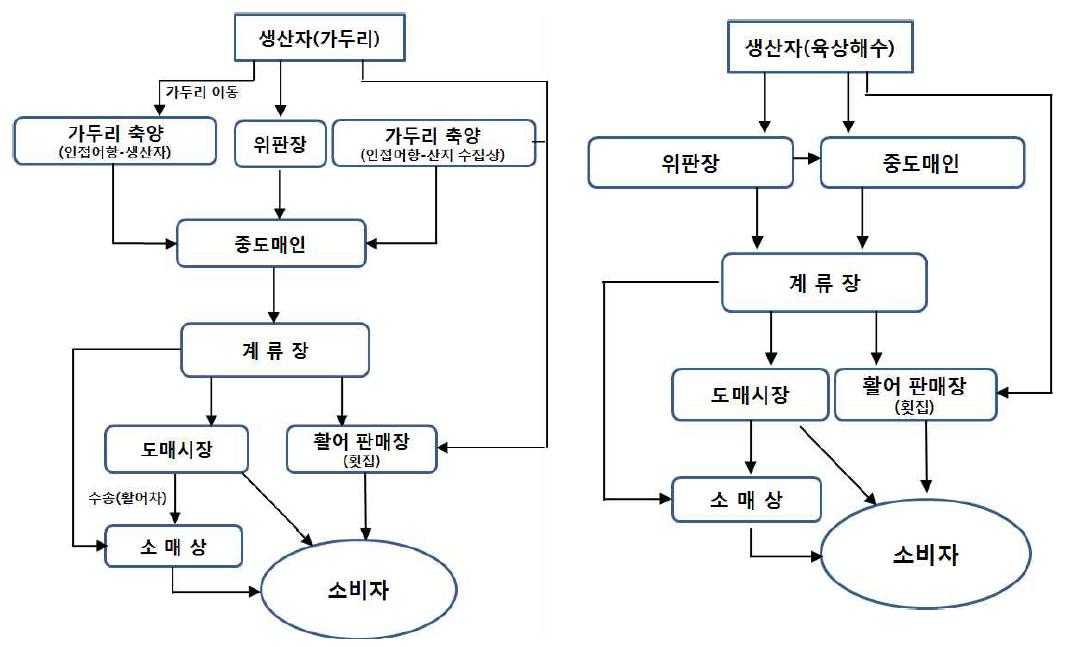 해상 가두리 및 육상해수 양식 어류의 유통경로