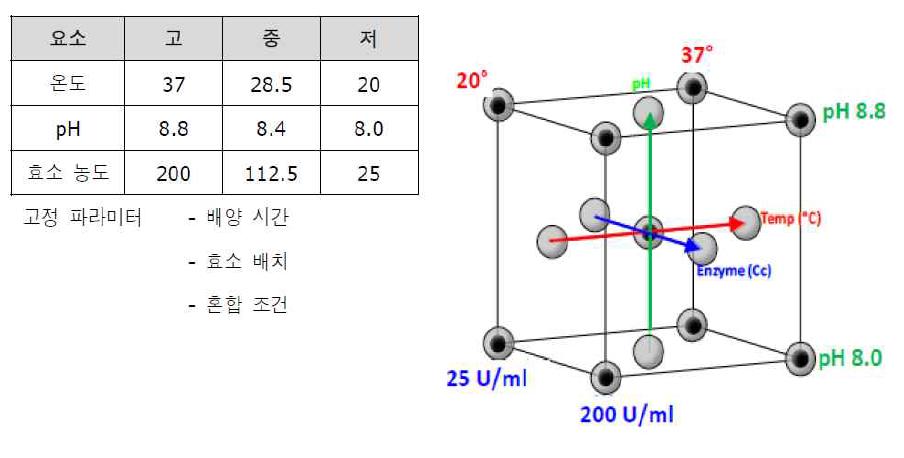 추출 공정 변수의 최적화 실험 구조