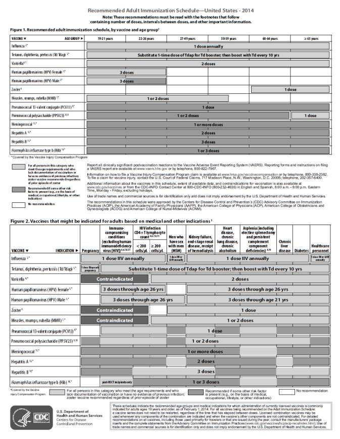 미국 성인 대상 권장 백신 스케줄 표.