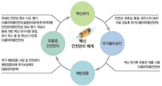 국내 백신 안전관리 체계.