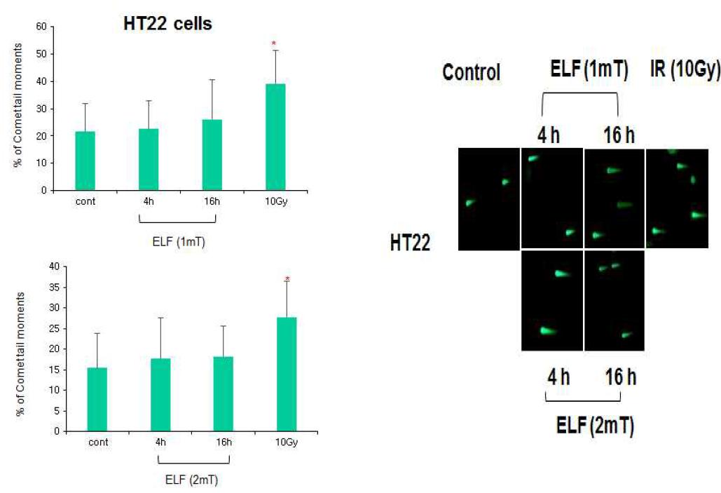 ELF 전자파의 유전자손상 (COMET tail)에 미치는 영향