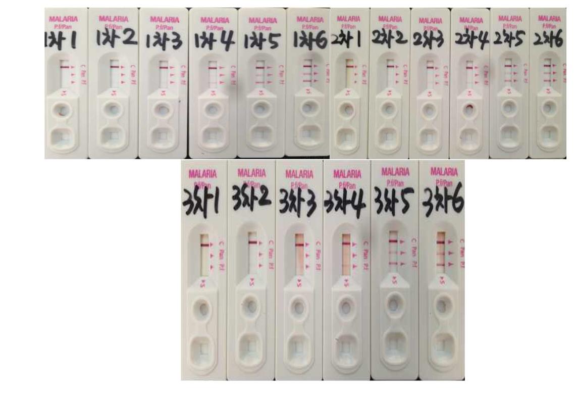 말라리아항원 다단계희석패널의 안정성 평가 결과 예시