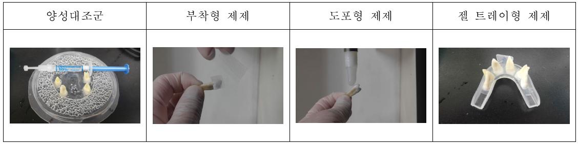 (In vitro) 치아미백제의 적용 : 미백제 적용 후 각 제품별로 제조사가 권장하는 시간만큼 오븐에 보관하였다