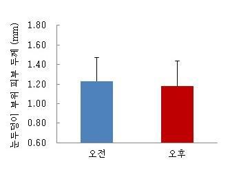 눈두덩이 부위 피부 두께 측정 결과 (㎜)