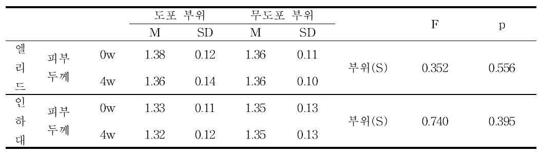 Dermascan-C를 이용한 종아리 부위 피부 두께 측정 및 분석 결과 (장기 시험)