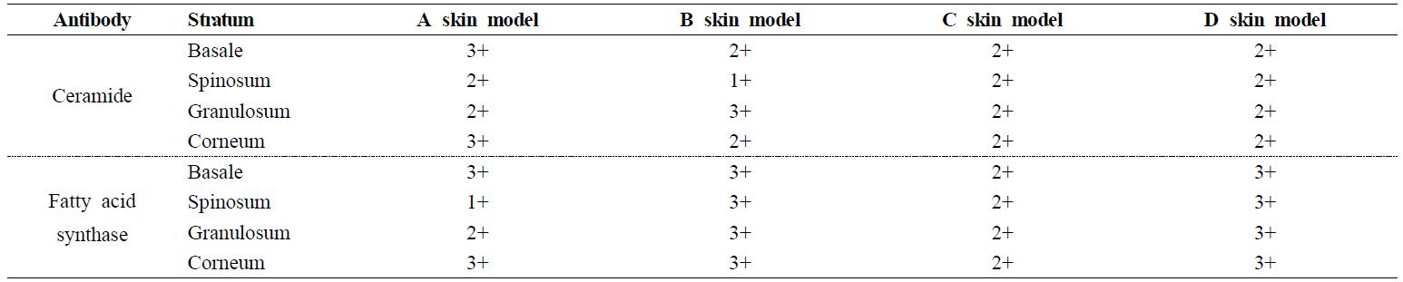 Summary of the immunohistochemical staining results in the positive control group of each skin model.