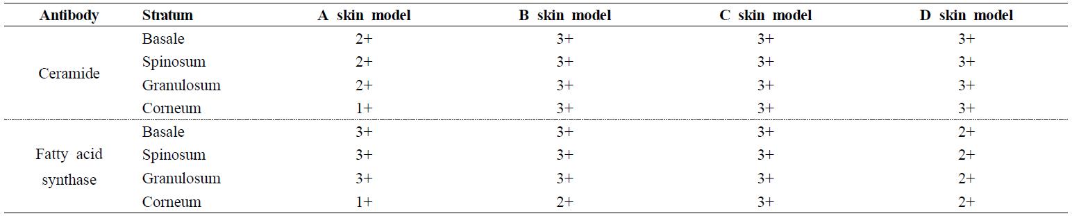 Summary of the immunohistochemical staining results in the non-stimulant group of each skin model.