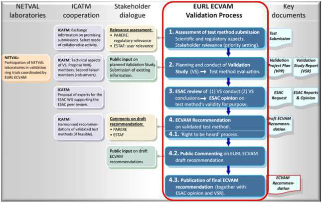 EURL ECVAM의 검증연구 단계