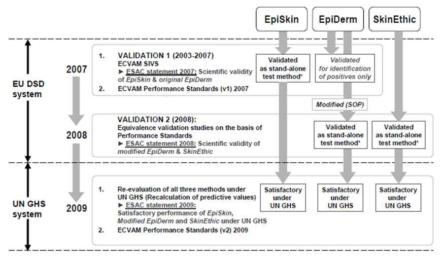EpiSkin , EpiDerm , SkinEthic 의 개발 경위 (2007년 ECVAM 검증 연구)