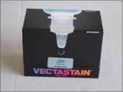 VECTASTAIN® ABC Kits PK-6200