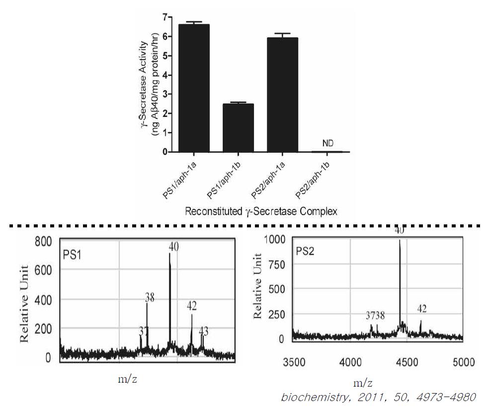 γ-secretase activity of reconstituted γ-secretase complex (Up)