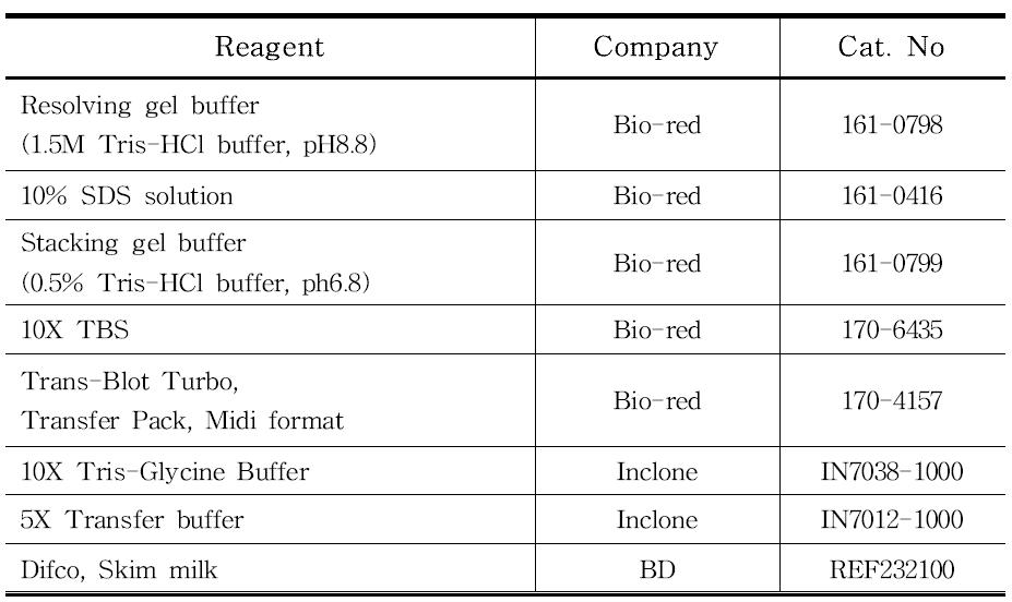 Western blot 관련 시약