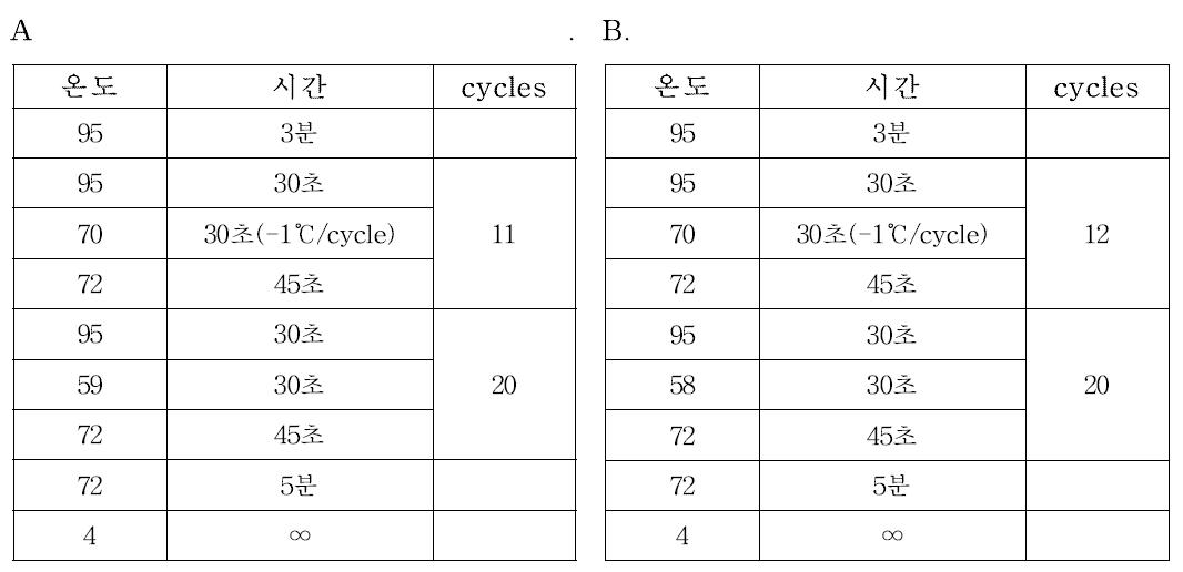 A condition of PCR procedure