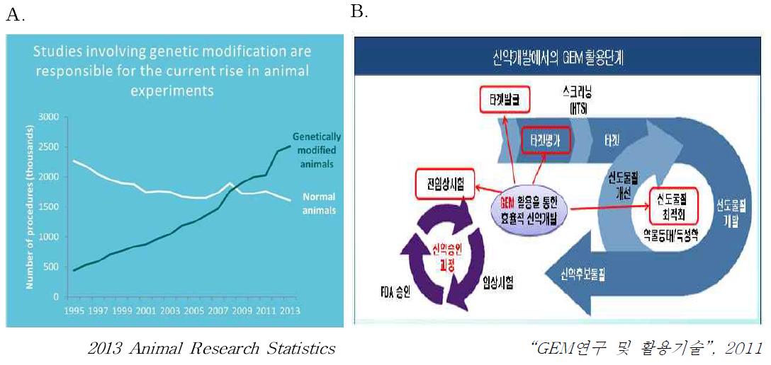 GEM 동물의 사용과 활용