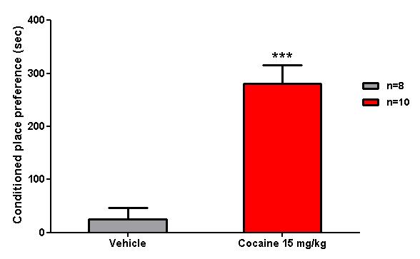Effect of cocaine treatment in the conditioned place preference.