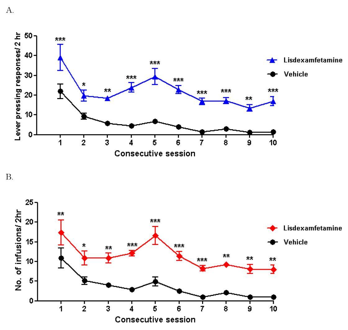 Acquisition of lisdexamfetamine (125 μg/infusion) self administration in sprague-Dawley (SD) rats with lever pressing responses (A) and drug-infusions (B).