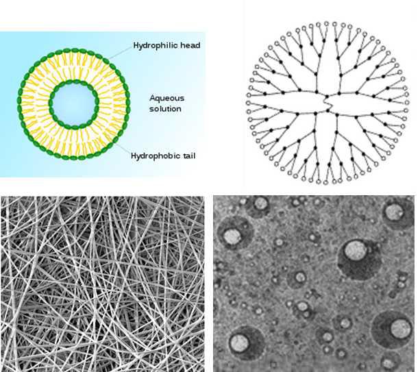 리포좀의 구조 모식도(좌상), 덴드리머의 구조 모식도(우상), 나노화이버의 SEM 사진(좌하), 나노젤의 현미경 사진(우하)